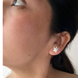 Aretes Tortuga