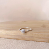 Anillo Esthercita
