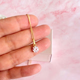 Collar Luz